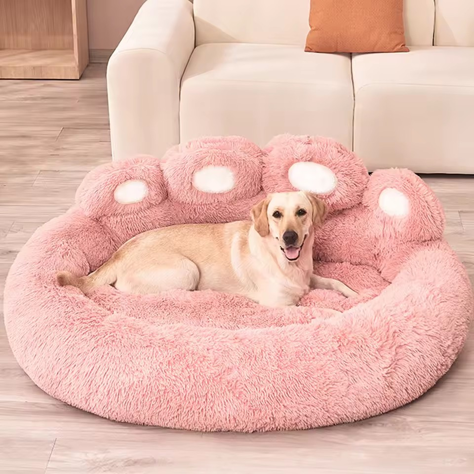 Dog Products