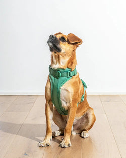 ComfortFit Dog Harness