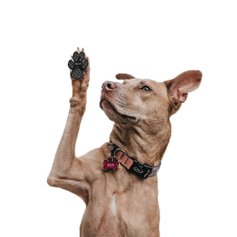 Anti-Slip Dog Paw Grips 4-Pack