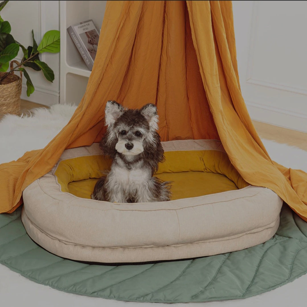 The Cuddle Cushion