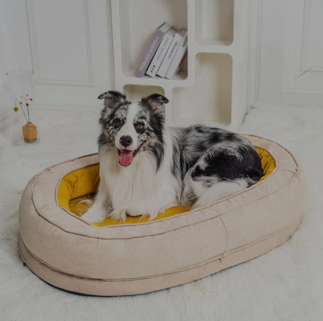 The Cuddle Cushion