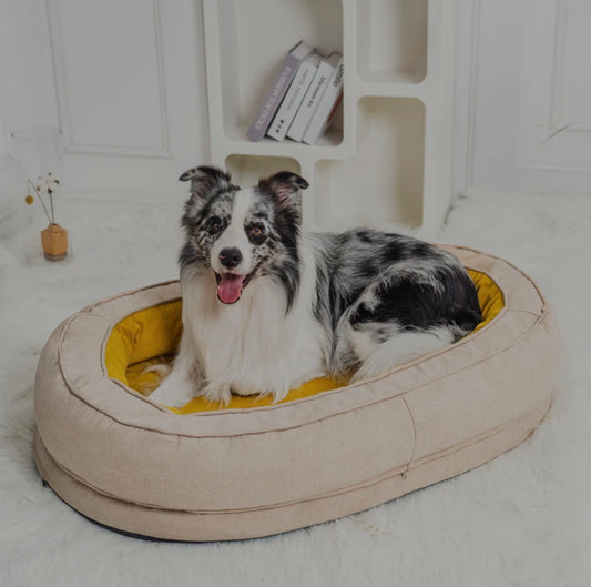 The Cuddle Cushion