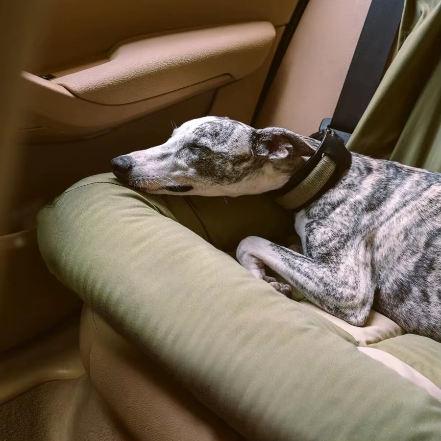 Ultimate Pet Seat Protector